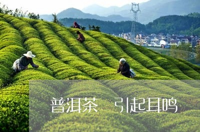 普洱茶 引起耳鸣/2023041020806